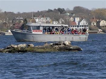 The Spring Seasons Inn Newport Luaran gambar